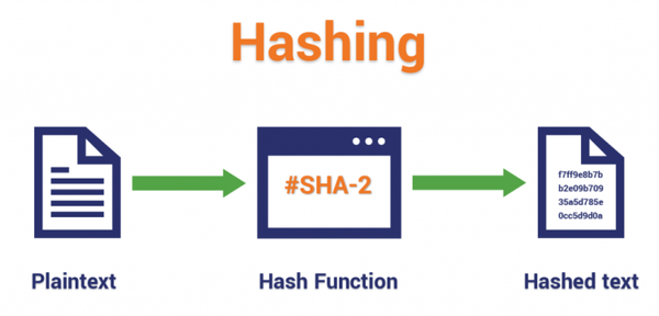 Difference Between Hashing and Salting